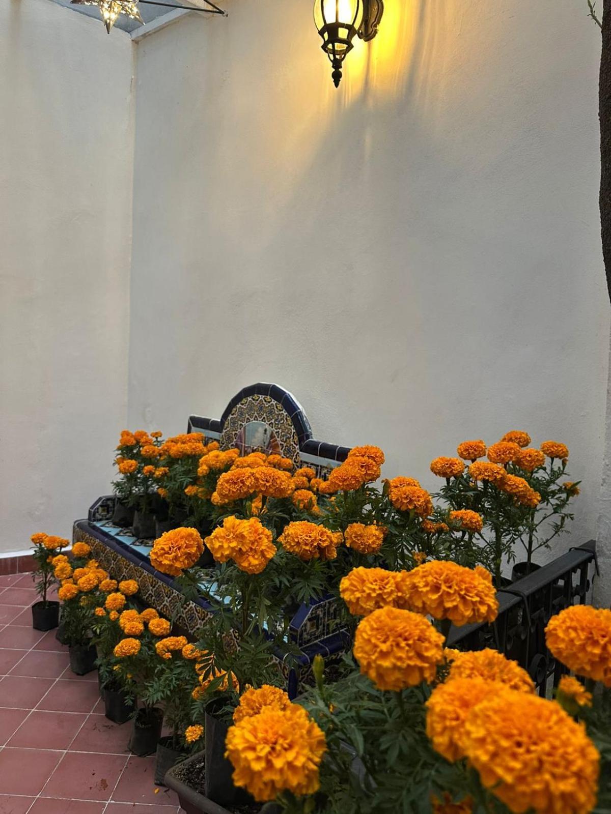 Nokal Exclusive Stay Mexico City Luaran gambar